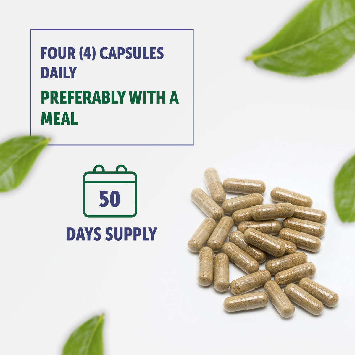 Bilberry Extract Capsules 5000mg 200 Count - HealthFare
