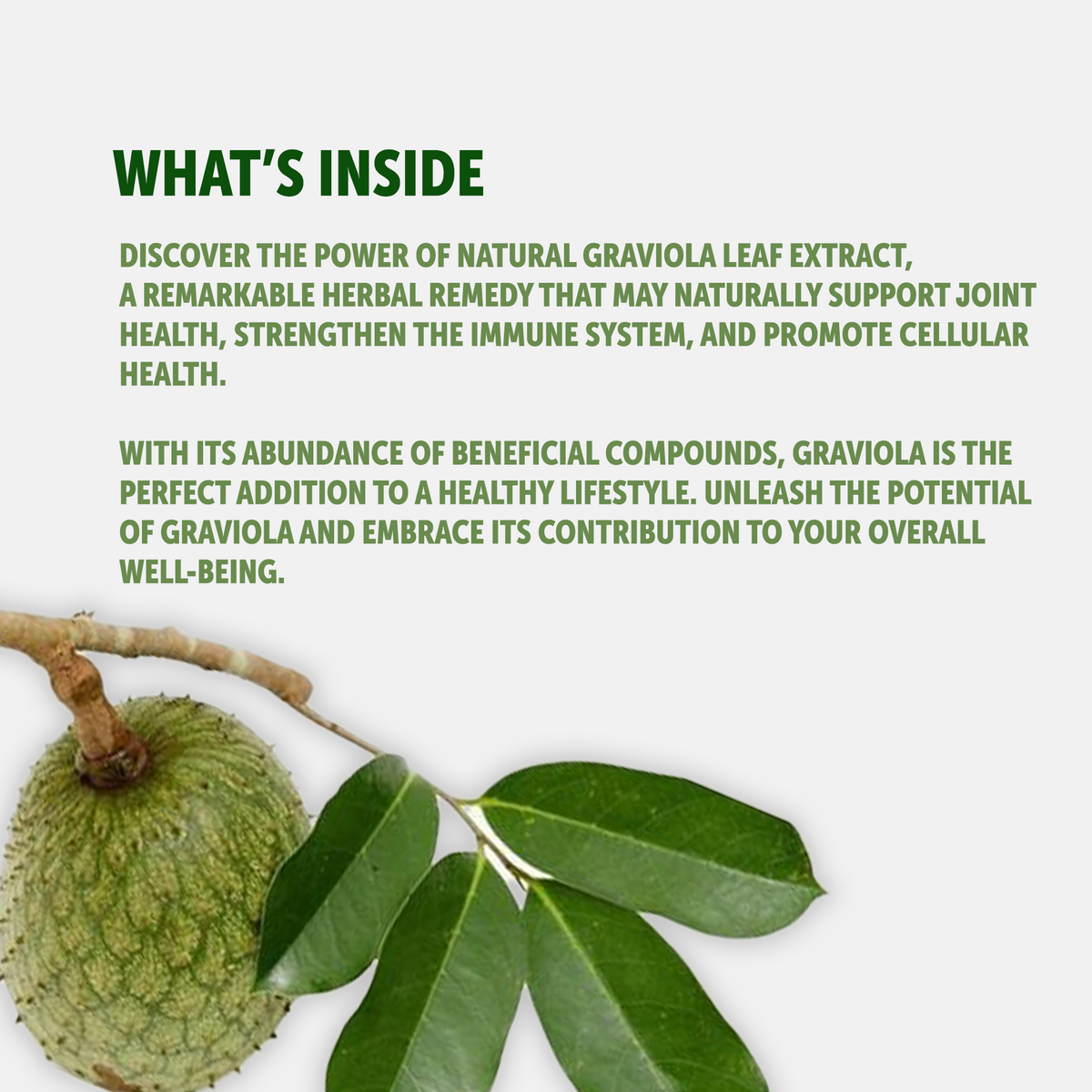 Graviola Leaf and Fruit Extract 5000mg (200 Capsules) - HealthFare